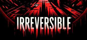 不可逆/IRREVERSIBLE 封面图