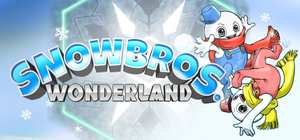 雪人兄弟：奇幻乐园/Snow Bros. Wonderland 封面图