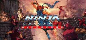 忍者外传：怒之羁绊/NINJA GAIDEN: Ragebound 封面图