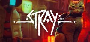 流浪/Stray 封面图