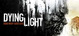 消逝的光芒/Dying Light 封面图