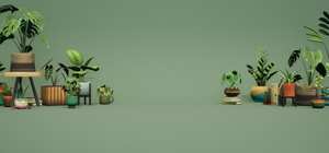 Leafy Corner 封面图