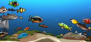 Idlequarium 封面图
