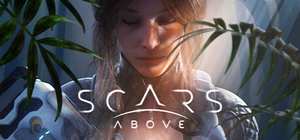 遍体鳞伤/Scars Above 封面图