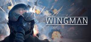 僚机计划/Project Wingman 封面图