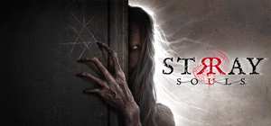 流浪之魂/Stray Souls 封面图